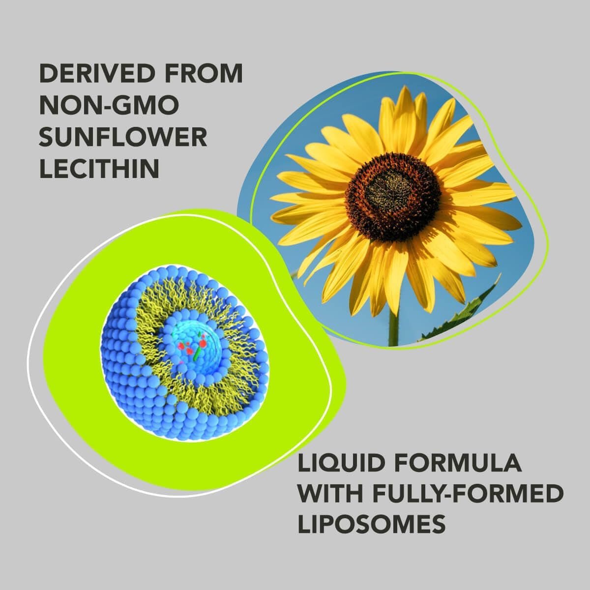 AMANDEAN Liposomal Glutathione Supplement. Liquid Reduced Setria 500Mg - Suppviv
