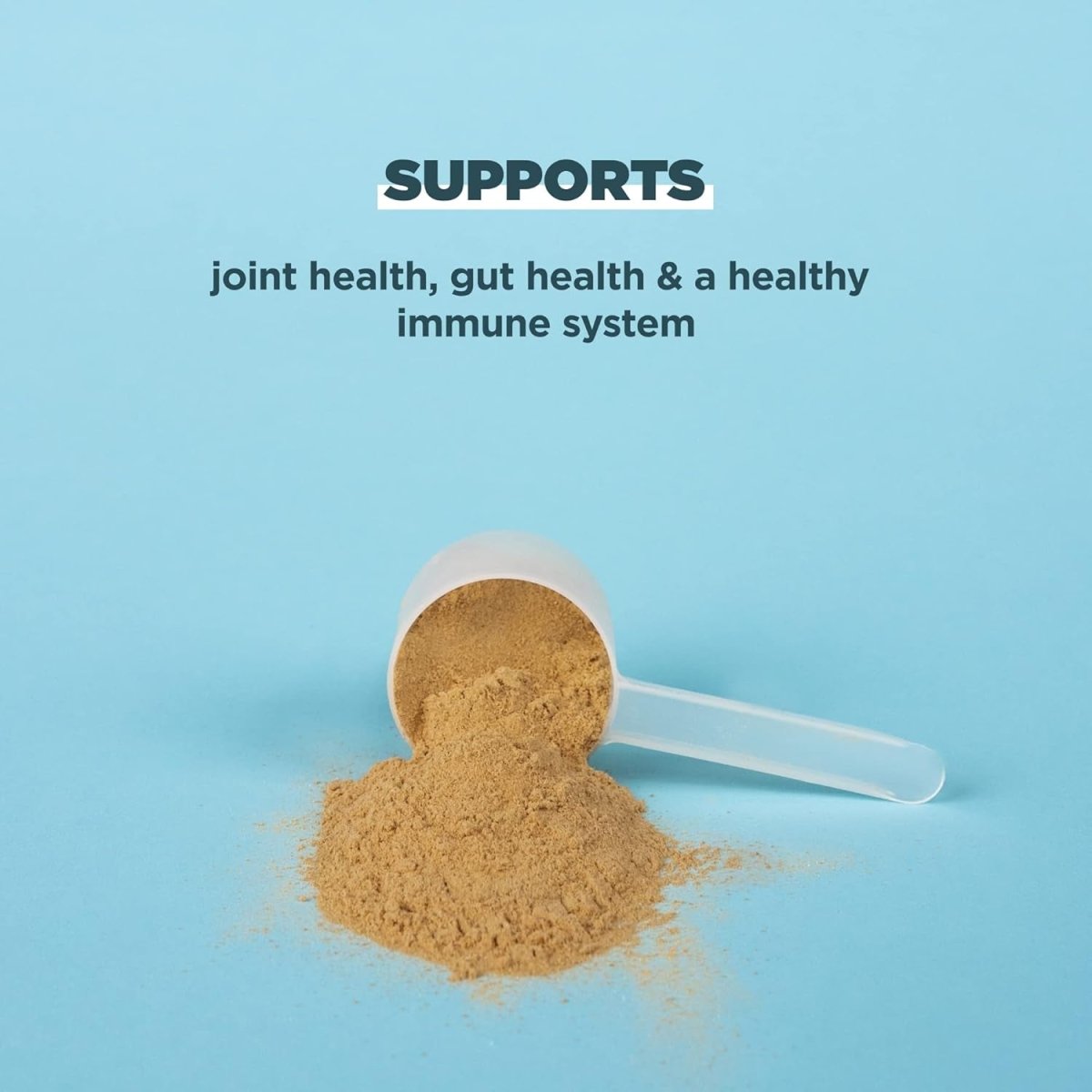 Ancient Nutrition Protein Powder Made from Real Bone Broth, Chocolate, 20G Protein per Serving - Suppviv
