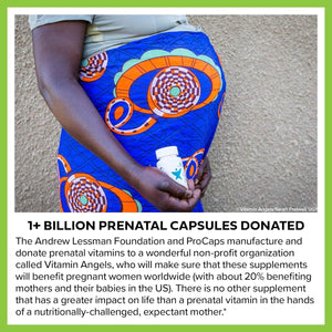 Andrew Lessman PC Liver & Brain Benefits + Liver Anti - Oxidant Extracts Kit: 600 Capsules - Suppviv