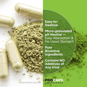 Andrew Lessman PC Liver & Brain Benefits + Liver Anti - Oxidant Extracts Kit: 600 Capsules - Suppviv