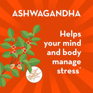 Align Probiotic, Digestive De-Stress, Probiotic with Ashwagandha, Helps with a Healthy Response to Stress, 50 Gummies