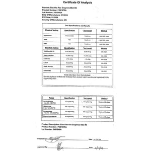 Potent Nattokinase Proteolytic Enzymes Capsules for Energy Support, Digestion, Detox, Cognition & Gut Health