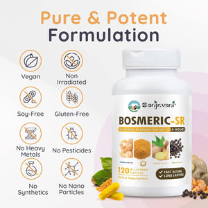 Fast-Acting Joint Supplement, 8-Hour Sustained Release, 120 Caplets - Sanjevani