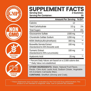 Glucosamine Chondroitin Gummies Sugar Free, Joint Support Gummies Supplements, 1500Mg Glucosamine Chewables with MSM Turmeric, 120 Count