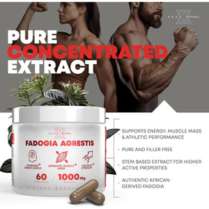 Fadogia Agrestis 1000Mg per Serving Supplement to Increase Energy, Athletic Performance & Muscle Mass (60 Capsules)
