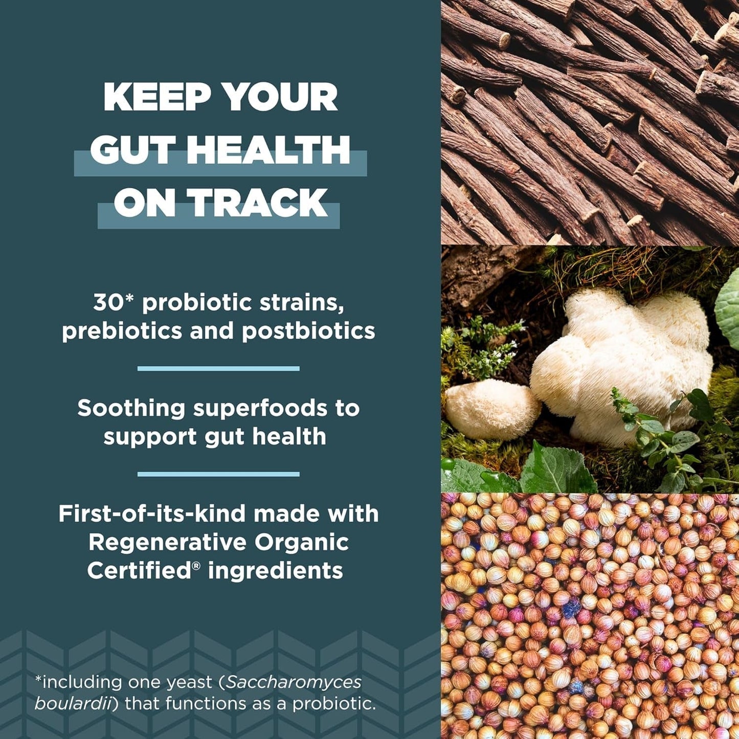 Ancient Nutrition Regenerative Organic Certified Probiotics, for Healthy Digestion and Immune System Function Support, 50 Billion Cfus* 60 Count