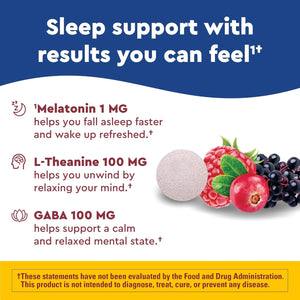 Nature Made Wellblends Back to Sleep Melatonin 1 Mg, L Theanine 100 Mg and GABA 100Mg 40 Tablets