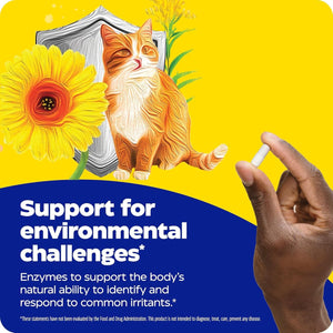 Enzymedica, Allerase, Non-Drowsy Enzyme Supplement to Help Relieve Seasonal Mucus Buildup, 60 Count