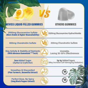 Sugar Free Glucosamine Chondroitin MSM Filled Gummies 3100Mg - Joint Support Supplement - 60Cts