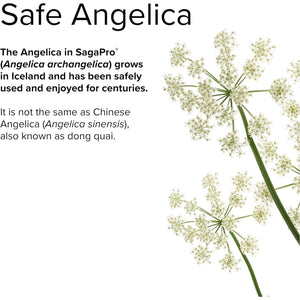 Terry Naturally Sagepro Bladder - Bladder Support Supplement - Vegan Capsules to Aid Urinary Tract Function & Health - 60 Capsules