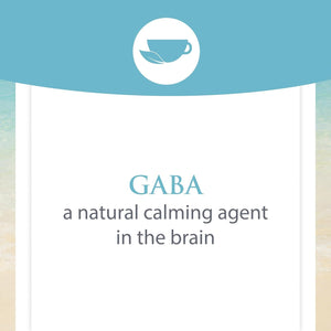 Natural Factors Stress-Relax Pharma GABA 250 Mg, Non-Drowsy Stress Support for Relaxation and Mental Focus, 60 Vegetarian Capsules