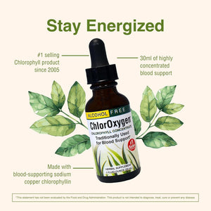 Herbs Etc. Chloroxygen Chlorophyll Concentrate - Aids Healthy Blood Circulation - Natural Vitality Support - 1 Fl Oz (66 Servings)