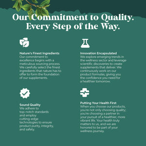 Digestive Enzymes with Ox Bile Supplement - Purified Ox Bile Salts for No Gallbladder & Pancreas Cleanse, Detox & Repair - (1 Month Supply)