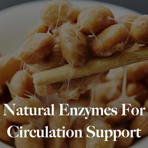 Nattokinase | 2000 FU from Japanese Natto | for Cardiovascular and Circulatory Support | 120 Softgel