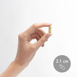 Dr. Mercola Gallbladder Enzymes, 30 Servings (30 Capsules), Dietary Supplement, Supports Digestive Health, Non GMO