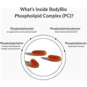 Bodybio Phosphatidylcholine 60 Softgels - Mental Clarity for Focus and Memory - Neuroprotection for Healthy Aging - Suppviv