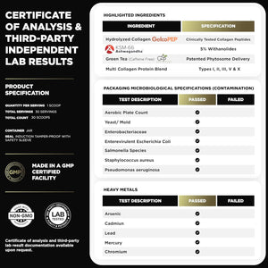 ELMNT Super Collagen Powder for Women Weight Loss + Beauty W. Probiotics, Hyaluronic Acid, ACV, KSM-66, Biotin (Unflavored)