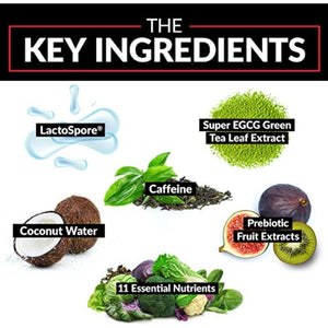 FORCE FACTOR Probioslim Weight Loss Essentials Complete Daily Digestive Health and Weight Loss Probiotic Supplement 120 Capsules