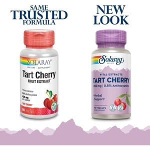 Solaray Tart Cherry Fruit Extract 425Mg | Supports Healthy Uric Acid Levels 90 Vegcaps