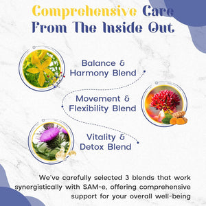 1200 MG SAM E Supplement for Brain, Mood, Joint, and Liver, 60 Tablets, Vegan