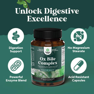 Digestive Enzymes with Ox Bile Supplement - Purified Ox Bile Salts for No Gallbladder & Pancreas Cleanse, Detox & Repair - (1 Month Supply)