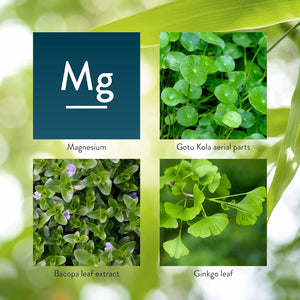 Nature'S Sunshine Mind-Max 90 Capsules