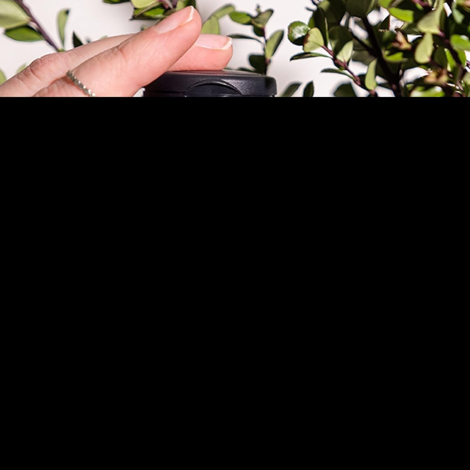 Nature'S Sunshine GABA Plus, Kosher | Brain Health and Nervous System Support 60 Capsules