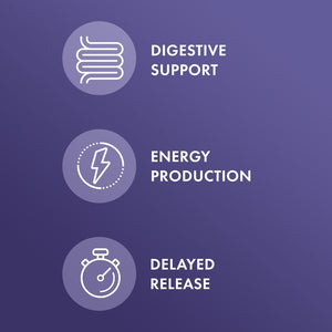 Dr. Mercola Gallbladder Enzymes, 30 Servings (30 Capsules), Dietary Supplement, Supports Digestive Health, Non GMO