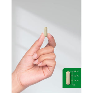 Horbaach Blessed Thistle Capsules 1600 Mg | 150 Count | Max Potency | Non-Gmo, Gluten Free Herb Supplement