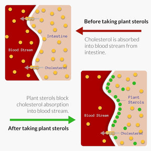 Upnourish Citrus Bergamot, Plant Sterols and Stanols Supplement, Heart Health Support 120 Softgels