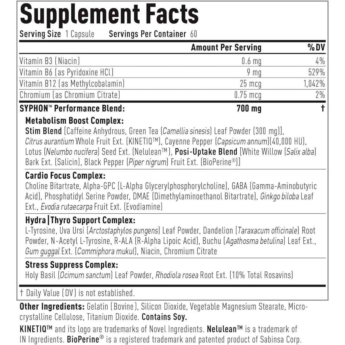 Core Active Syphon Thermogenic Fat Burner for Men & Women - 60 Capsules - Suppviv