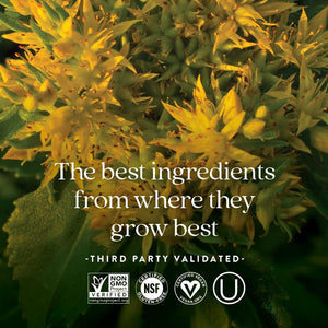 New Chapter Rhodiola Force 300Mg for Mental Focus & Stamina, Endurance + Mood Support + Stress Adaptogen - 30 Count