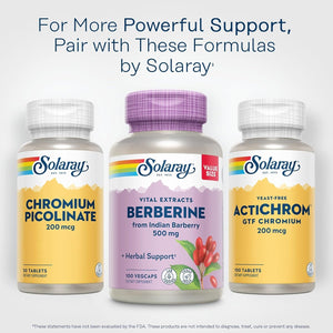 SOLARAY Berberine 500Mg for a Healthy, Active Lifestyle 100 Servings