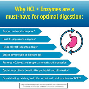 Smidge™ Hcl + Enzymes – Digestion – 120 Capsules