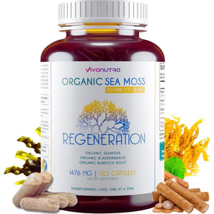 Organic Sea Moss Capsules, Bladderwrack & Burdock Root 120 Count