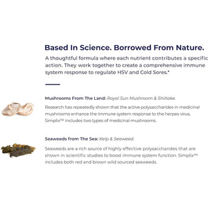 Simplix | Natural Supplement to Strengthen the Immune System | Respond to Outbreaks 60 Veggie Capsules