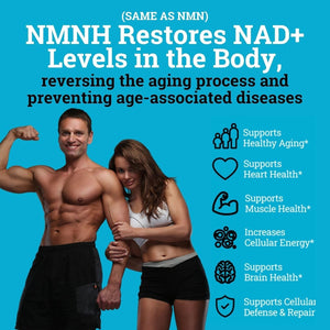 NMNH Supplement 250MG Pure Dihydro-Nicotinamide Mononucleotide for Anti-Aging & Energy