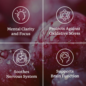 Nature'S Sunshine Focus Attention, Help Maintain Normal Brain-Stimulation Levels 90 Capsules