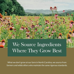 Gaia Herbs Mighty Lungs - Lung Support Supplement to Help Maintain Overall Lung & Respiratory Health (30-Day Supply).