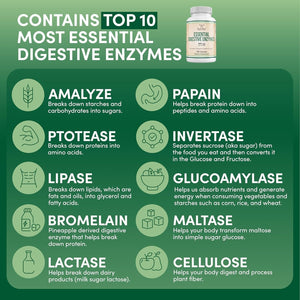 Digestive Enzymes - 800Mg Blend of All 10 Most Essential Digestive and Pancreatic Enzymes by Double Wood