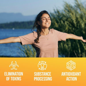 Daily Liver Plus | 60 Capsules Liver Cleanse Detox & Support Supplement.