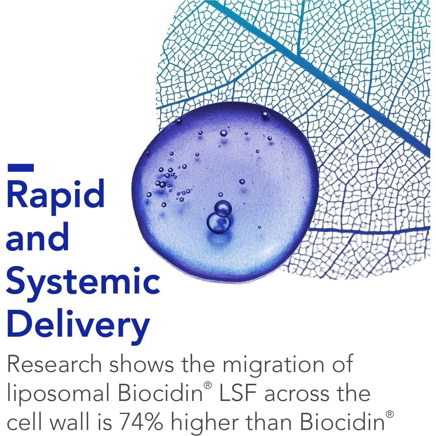 Bio-Botanical Research Biocidin Gut Cleanse + Digestive Health Formula - LSF Liposomal Liquid - Biofilm Disruptor with 18 Herbal Gut Health Supplements - Bioavailable for Optimal Absorption (50 Ml)