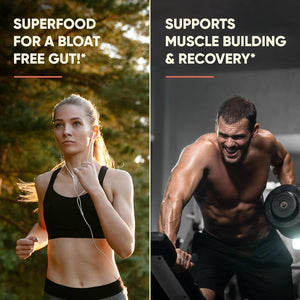 Grass Fed Bovine Colostrum Powder for Humans, Adults | Immunity & Muscle Recovery Support 65 Servings