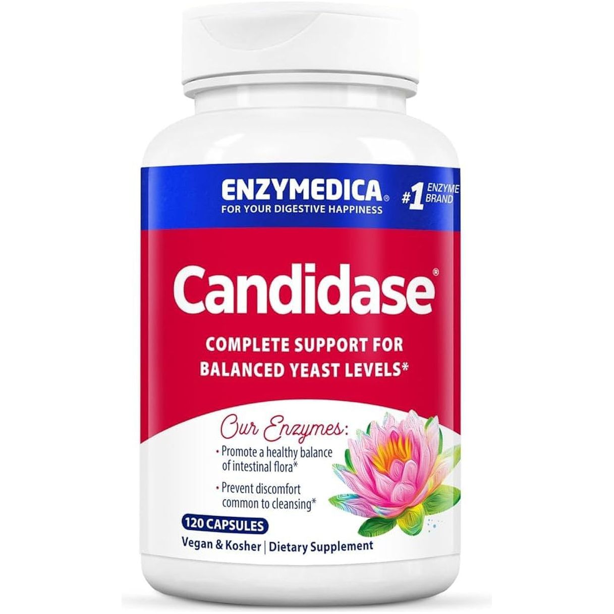 Enzymedica, Candidase, Digestive Enzymes for Gentle Cleansing Support, Gut Health & Digestion, 120 Count