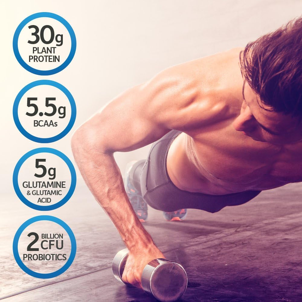 Organic Vegan Protein Powder, Vanilla Protein Powder with Probiotics, Bcaas, 30G Plant Protein 19 Servings