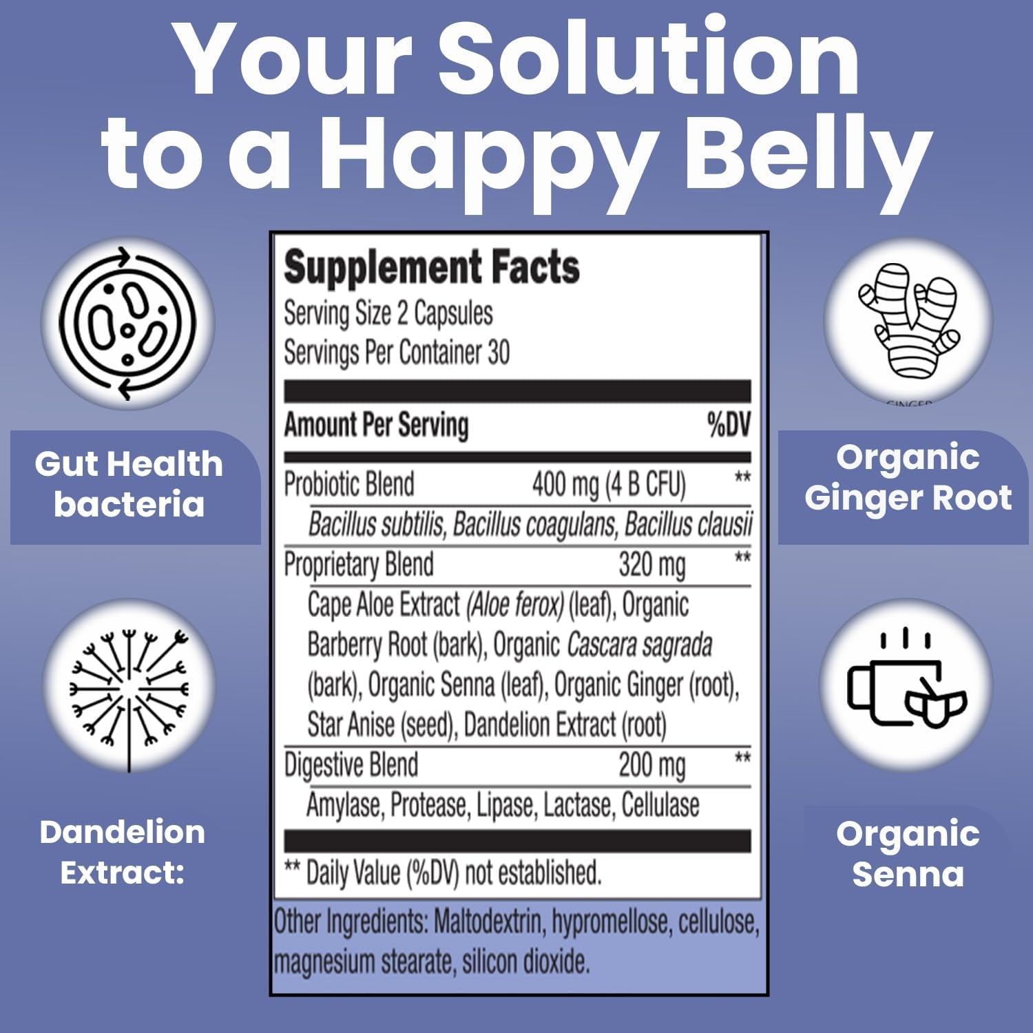 Teami Bloat Banish Fast Gas and Bloating Relief for Women - Debloat Pills to Support Digestion, Ensuring Regularity & Constipation Relief