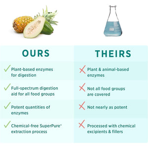 PURE SYNERGY Enzyme Power | Digestive Health Enzymes with Nattokinase, Bromelain, and Serrapeptase (90 Capsules)