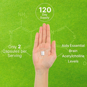 DEAL SUPPLEMENT Alpha GPC 600Mg,240 Capsules – Nootropic Brain Health Supplements for Memory and Focus - Suppviv