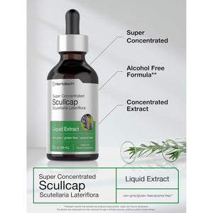 Horbäach Scullcap Herb Liquid Extract | 2 Fl Oz Tincture