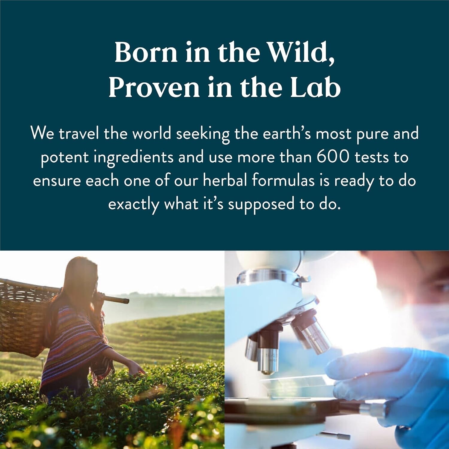 Nature'S Sunshine PDA Combination, Hydrochloric Acid and Pepsin Supplement That Helps Break down Proteins in the Digestive Tract 180 Capsules